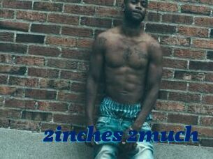 2inches_2much