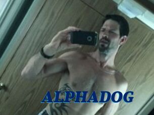 ALPHADOG