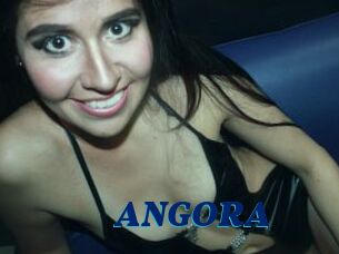 ANGORA