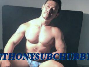 ANTHONYSUBCHUBBY