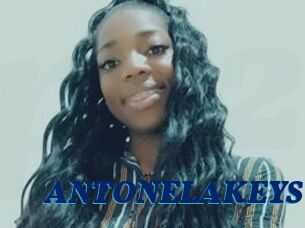 ANTONELAKEYS