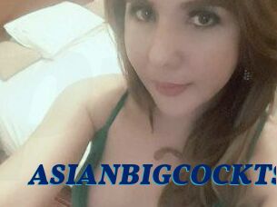 ASIAN_BIGCOCK_TS