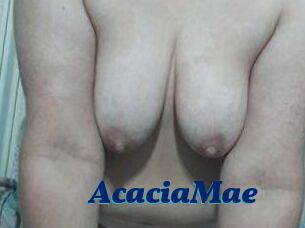AcaciaMae