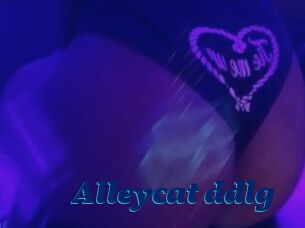 Alleycat_ddlg