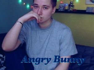 Angry_Bunny