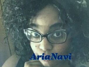 AriaNavi