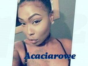 Acacia_rowe