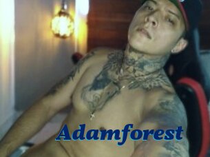 Adamforest