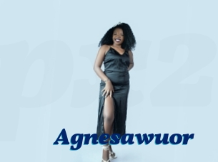 Agnesawuor