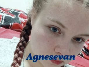 Agnesevan