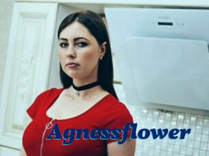 Agnessflower