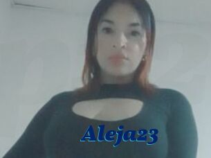 Aleja23
