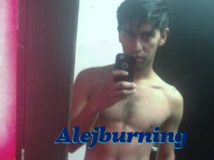 Alejburning
