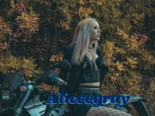 Aliceegray