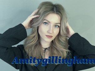 Amitygillingham