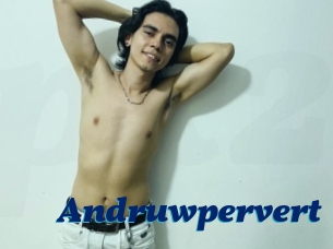 Andruwpervert
