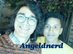 Angeldnerd