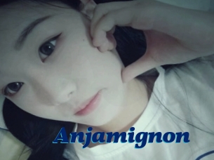 Anjamignon