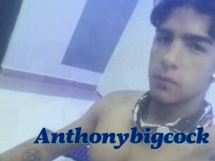 Anthonybigcock