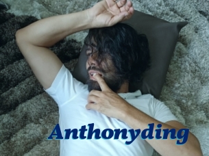 Anthonyding