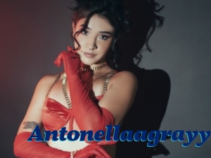 Antonellaagrayy