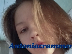 Antoniacrammer