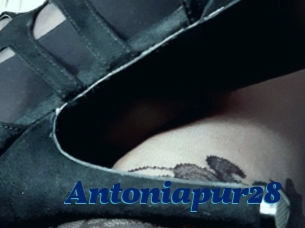 Antoniapur28
