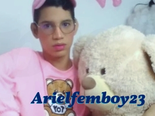Arielfemboy23