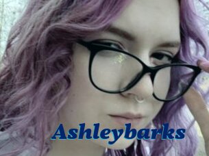 Ashleybarks