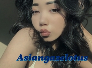 Asiangazelotus