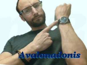 Avalonadonis