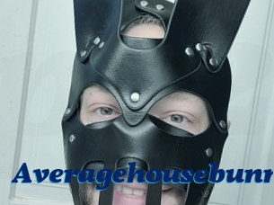 Averagehousebunny