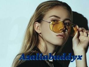 Azaliabuddyx