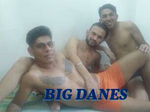 BIG_DANES