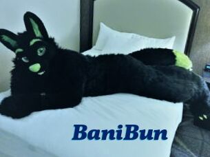 BaniBun