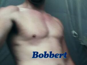 Bobbert