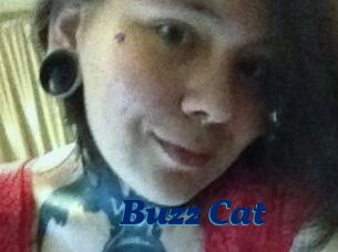 Buzz_Cat