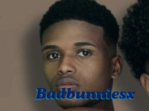 Badbunniesx