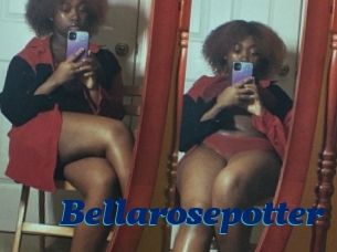 Bellarosepotter