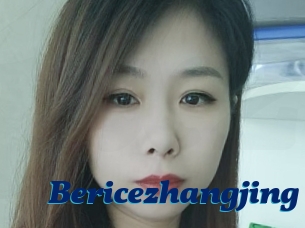 Bericezhangjing