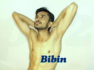Bibin