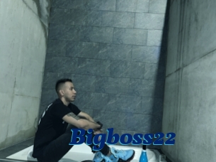 Bigboss22
