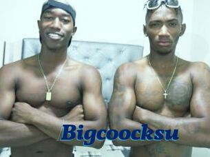 Bigcoocksu