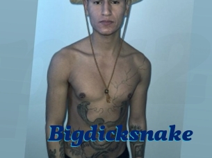 Bigdicksnake