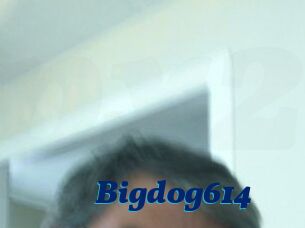 Bigdog614