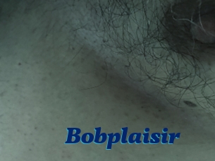 Bobplaisir