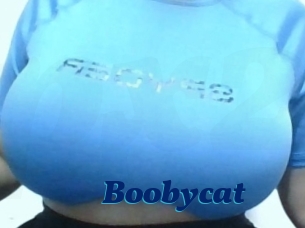 Boobycat