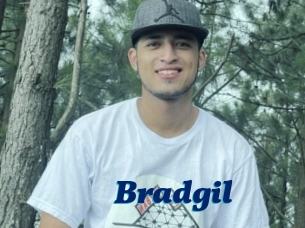 Bradgil