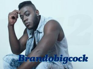 Brandobigcock