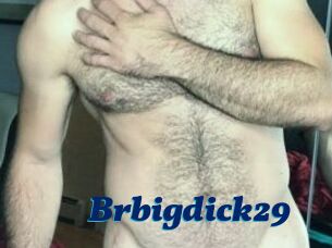 Brbigdick29